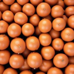 Was kann CitroPlus Grapefruitkernextrakt wirklich für Dich tun? image