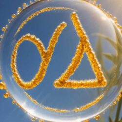 Was passiert, wenn Du Vitamin D3 K2 4000 nimmst? Finde es heraus! image